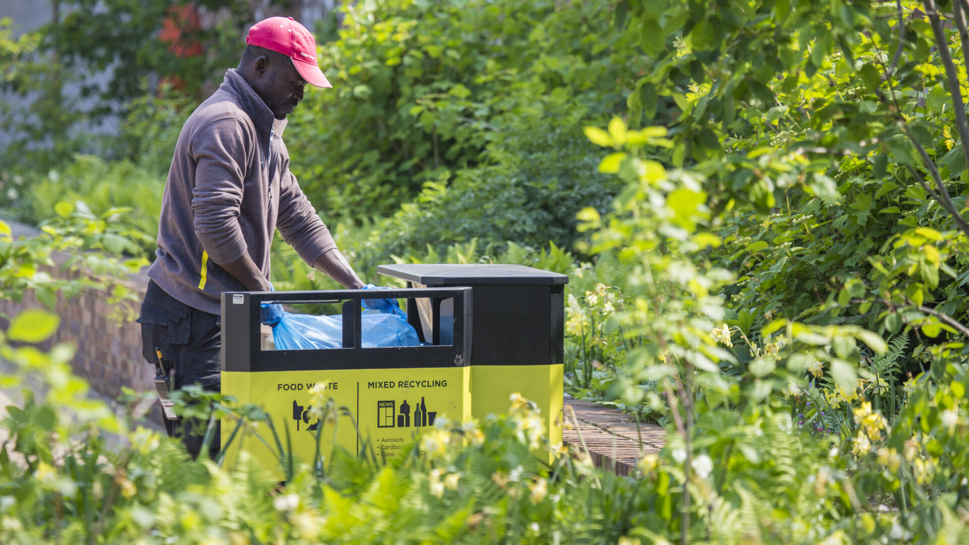 Conquering Your Employment Goals: Carl’s Case Study
