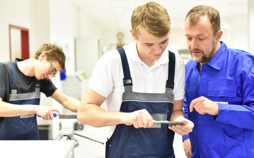 The Power Of Work Experience